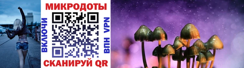 Псилоцибиновые грибы Magic Shrooms  Купить  Моршанск 